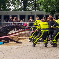Paard valt in mestput bij manege in Oosterhout
