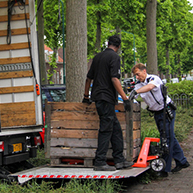 Politie vindt hennepkwekerij in woning Rijen